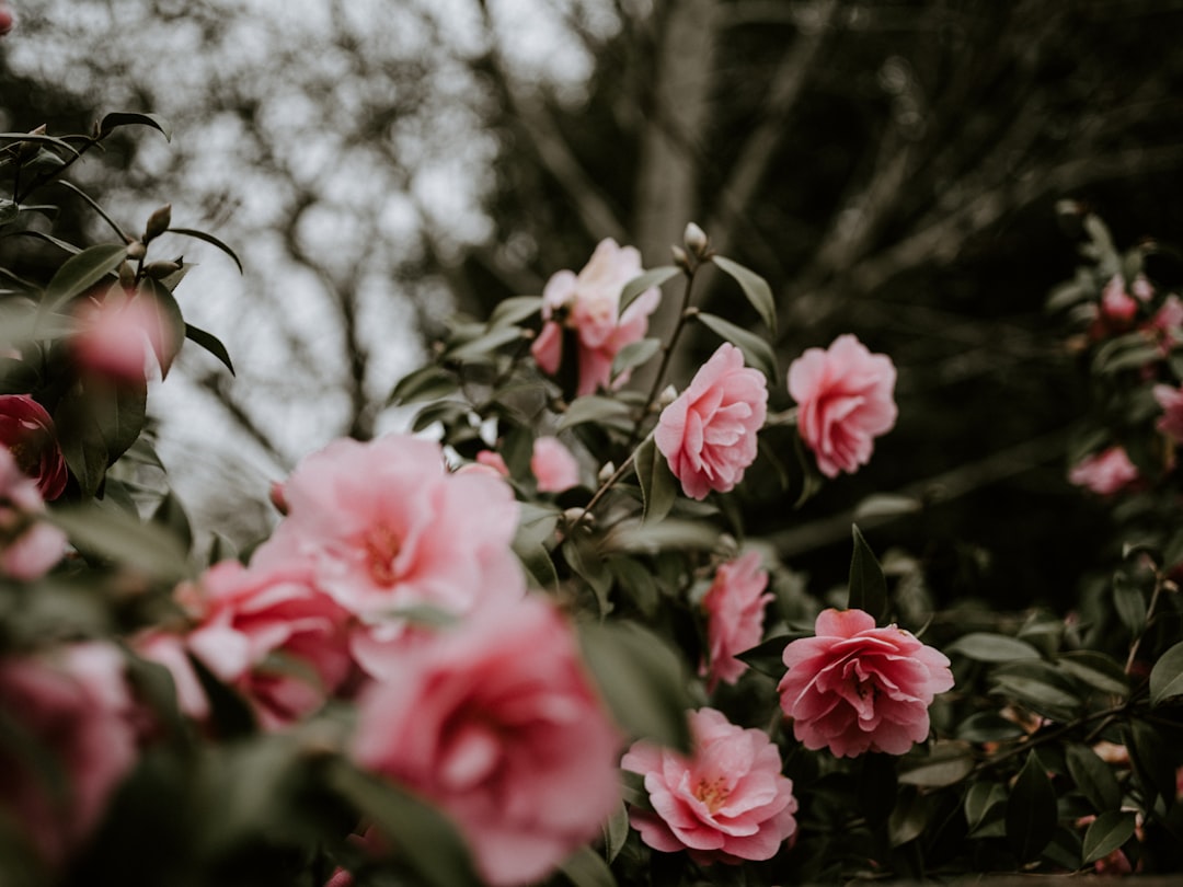 **Why We Can’t Stop Obsessing Over Dinos, Dresses, and Dirty Dancing**  