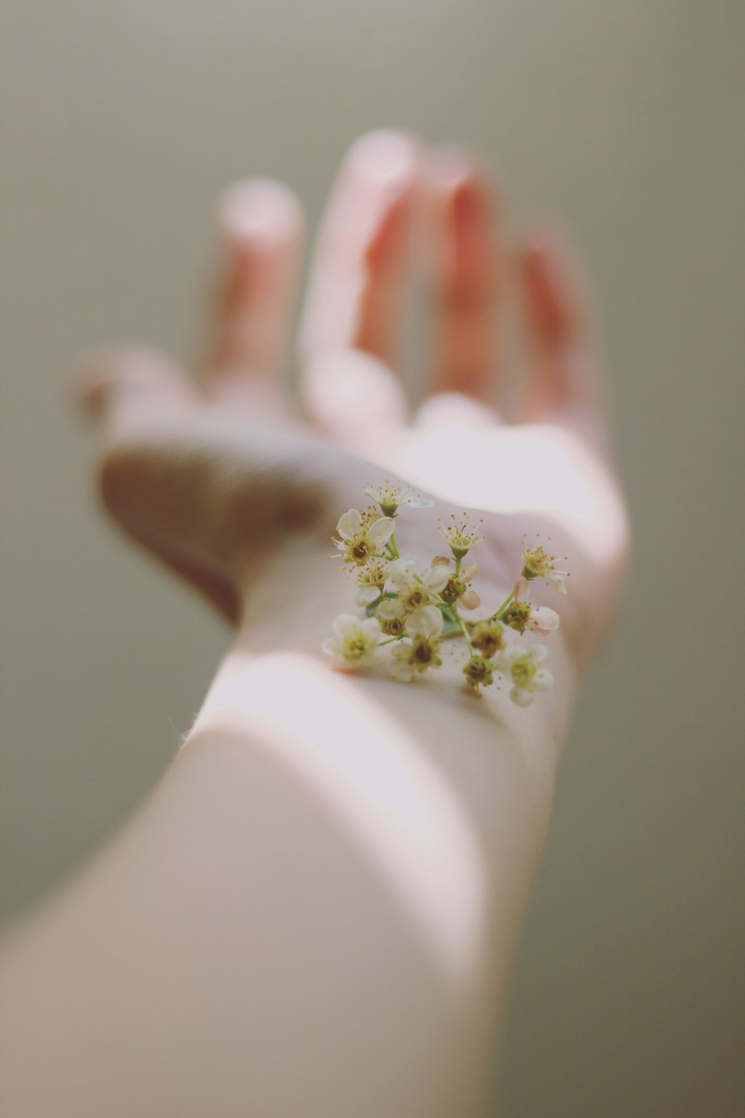 Ballet Classes in Daytona Beach: A Parent and Student Guide to Choosing the Right Studio
