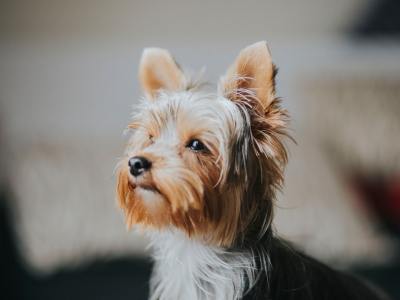 **Dress to Express: A Krump Dancer’s Guide to Battle-Ready Gear**