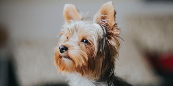 **Dress to Express: A Krump Dancer’s Guide to Battle-Ready Gear**