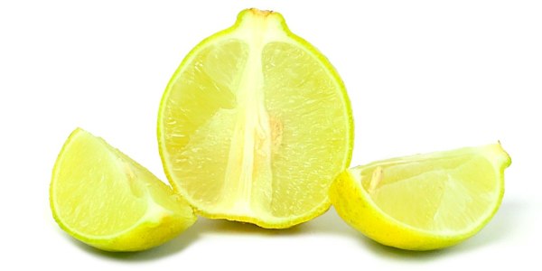 Where Valley Ford Dancers Train: Institutions Cultivating Movement