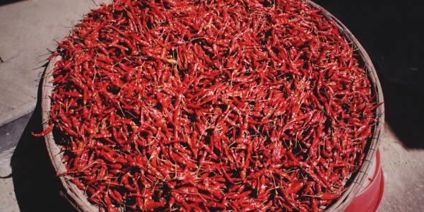 Manchester City's Dance Directory: Where to Find Quality Ballet Instruction in Oklahoma State