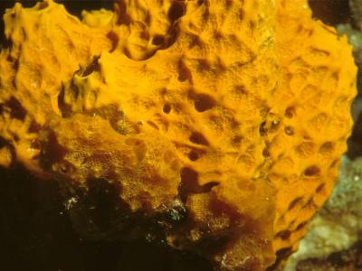 Finding Your Pointe in Markham: A Guide to Local Ballet Academies