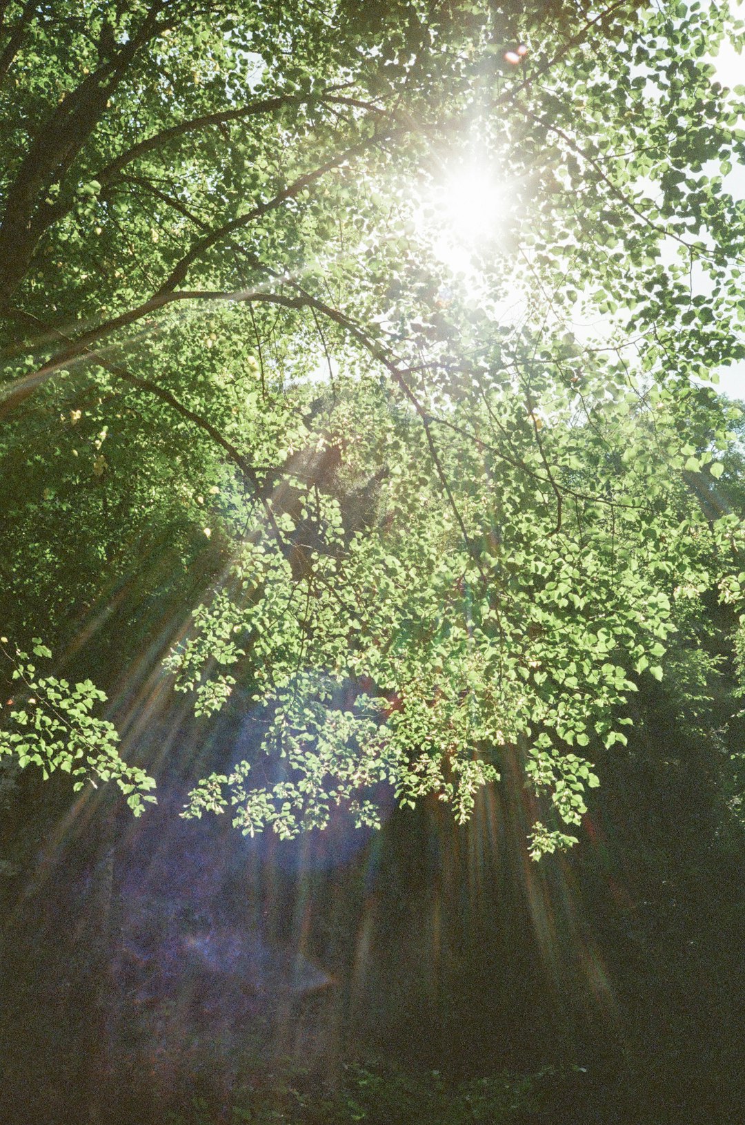 **"Must-Listen Music for Contemporary Dance: 2025’s Best Picks"**