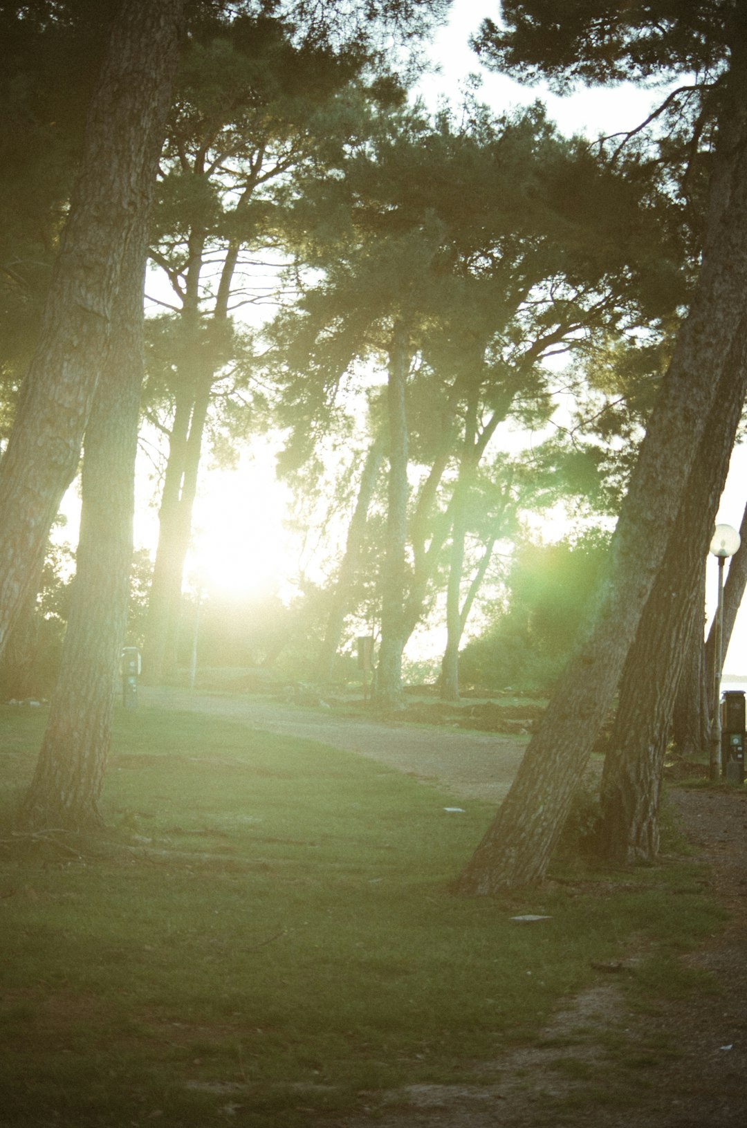 Swing Into Summer: 3 Dance Moves Everyone's Learning in 2024