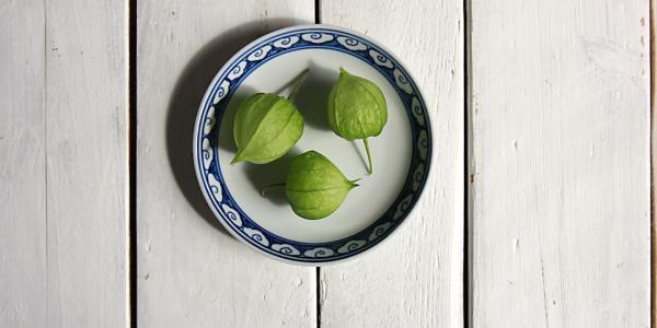 Pointe of Entry: Finding Your Perfect Ballet Training in Gold Hill City, NC