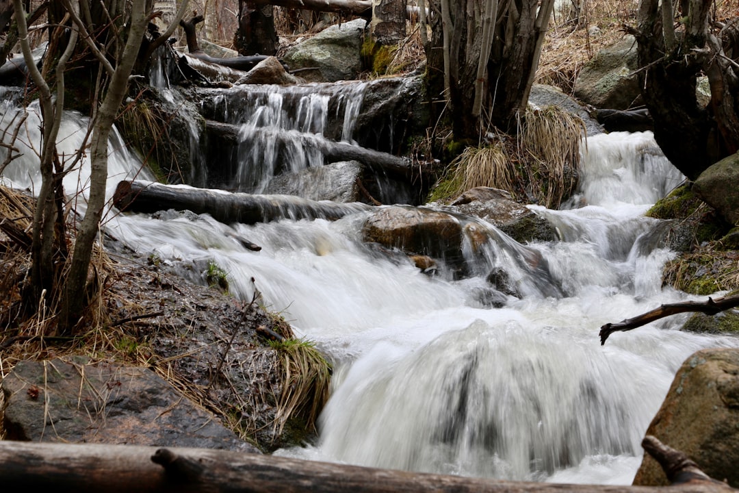 Ballet Training in the Eastern Sierra: A Guide to Schools Near Lee Vining, California
