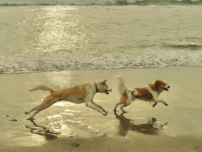 **Groove & Flow: Top Tracks for Footwork and Style**