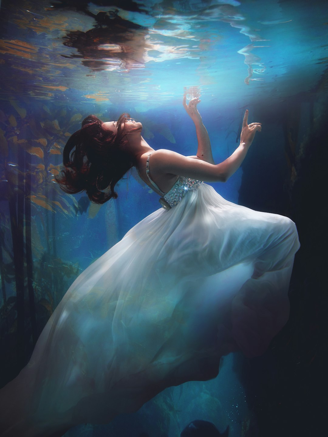 Why Morehouse City Is Ballet's Best-Kept Secret (And How to Find Your Place Here)
