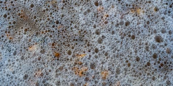 # Eric's "Greatest Showman" Dream: More Than Just a Theme Night?