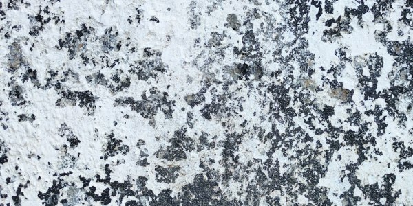 ## The Legacy of the Stingettes: When Tradition Meets the Future