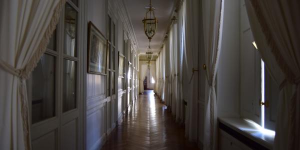 **Dancing Honours: A Step Forward or a Step Too Far?**