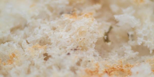 From Standing Still to Expressive Movement: Starting Your Contemporary Dance Journey