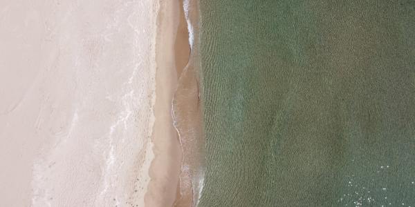 Beyond the Steps: A Guide to Advanced Styling and Performance Artistry in Ballroom