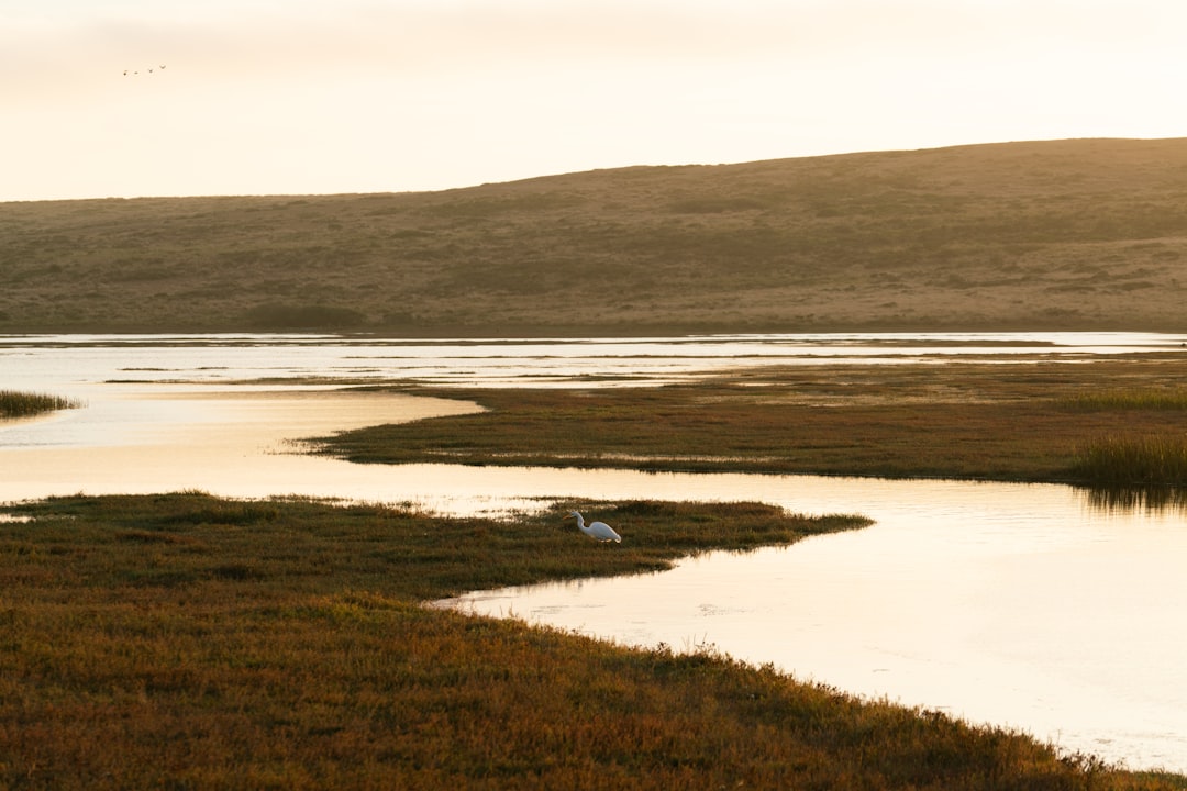 Maxton City and the Unexpected Geography of Rural Ballet Training in North Carolina