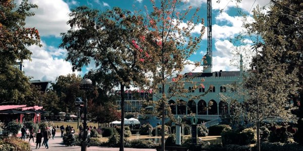 Ballet in the Heart of Pennsylvania: Discovering Grassflat City's Premier Dance Institutions