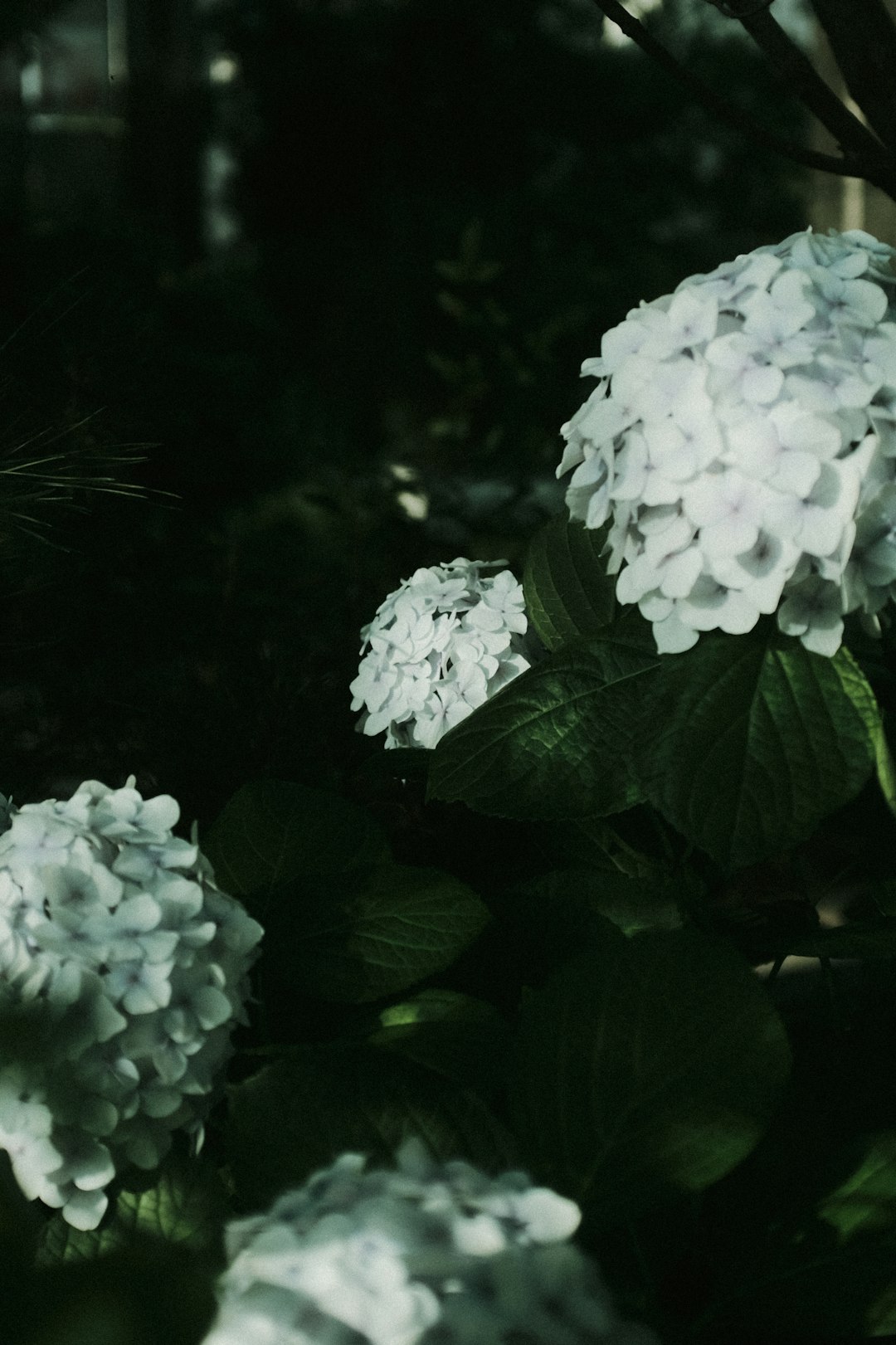 # **Łódź Fotofestiwal 2025: Anita Andrzejewska – Dancing with Your Dream Awake**  