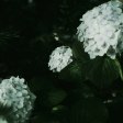 # **Łódź Fotofestiwal 2025: Anita Andrzejewska – Dancing with Your Dream Awake**  