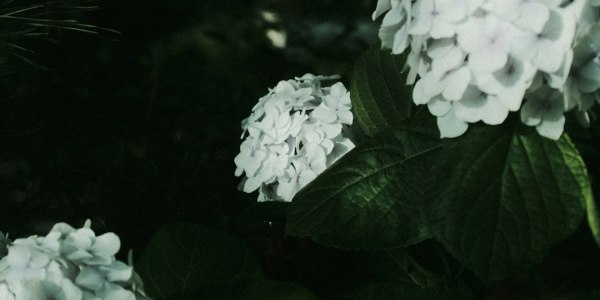 # **Łódź Fotofestiwal 2025: Anita Andrzejewska – Dancing with Your Dream Awake**  