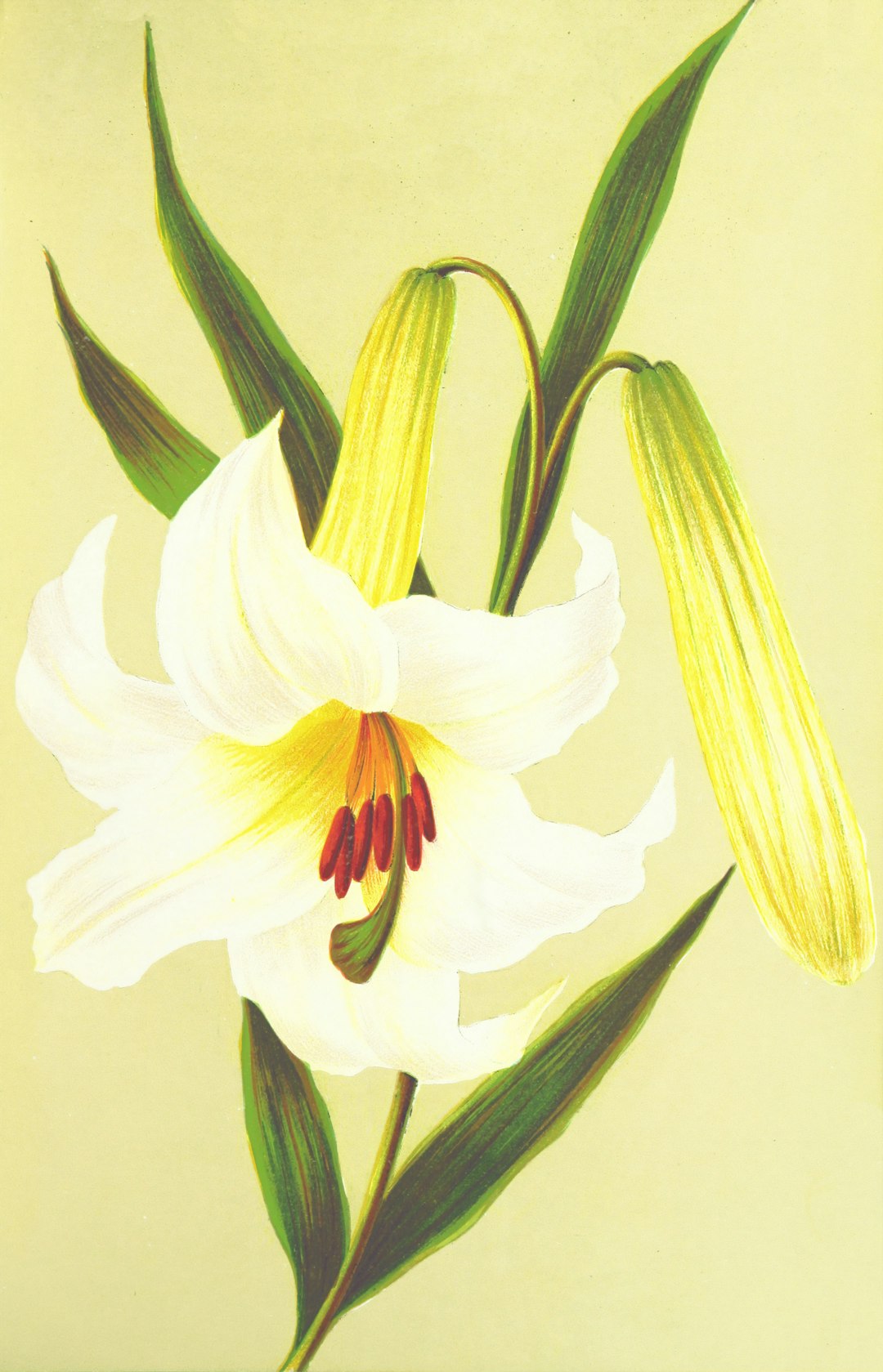 Beyond the Barre: Where Funston City's Hidden Dance Gems Forge Real Careers