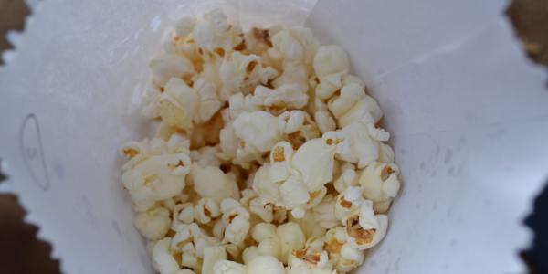 Your Guide to Square Dance Classes in Bayview, Texas