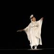 Behind the Tutu: Ballet's Hidden Stories
