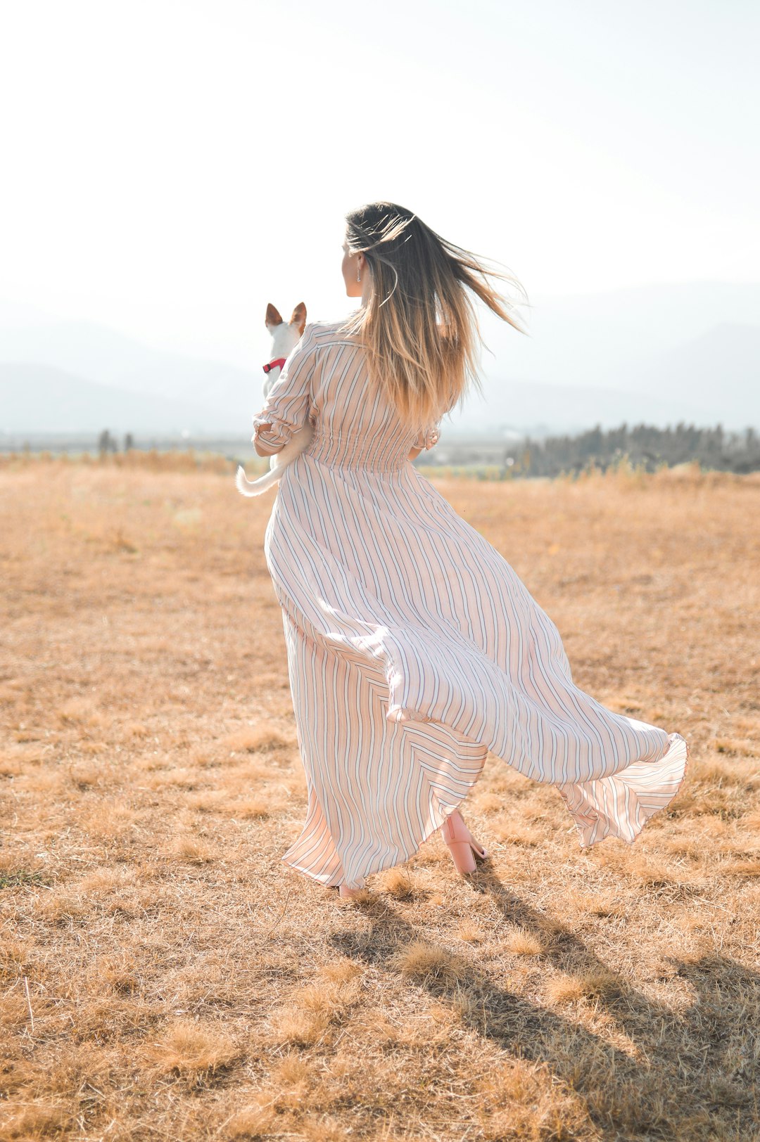 Ballet Training in Foster City and the Bay Area: A Parent and Student Guide to Quality Dance Education