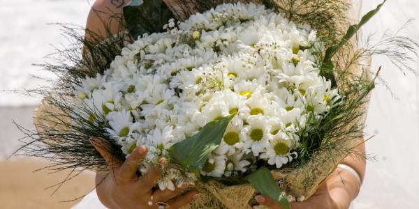 # Why Plymouth's New Dance Course Is a Game-Changer for Students