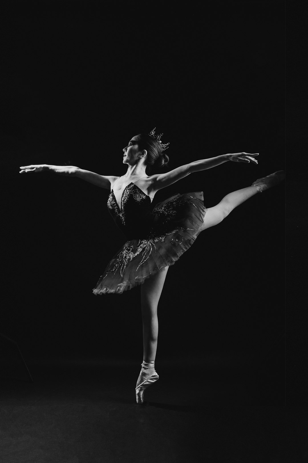 From Beginner to Pro: The Complete Ballroom Dancing Roadmap (With Realistic Timelines)