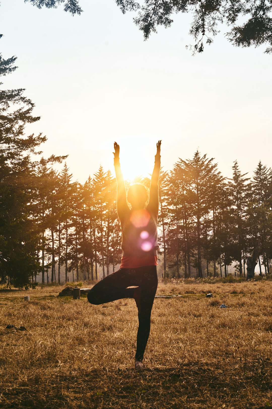 The 5 Best Contemporary Dance Schools in Hamilton City: A Dancer's Guide