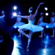 En Pointe: The Evolution of Ballet Technique