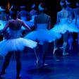 From Studio to Stage: Choosing Dance Shoes That Enhance Your Jazz Performance