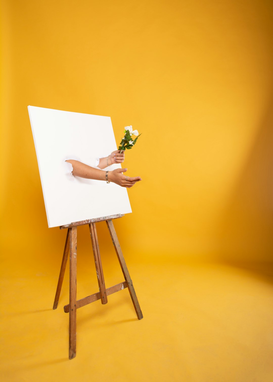 How a Small Ohio Town Became the Secret Launchpad for Elite Ballet Careers
