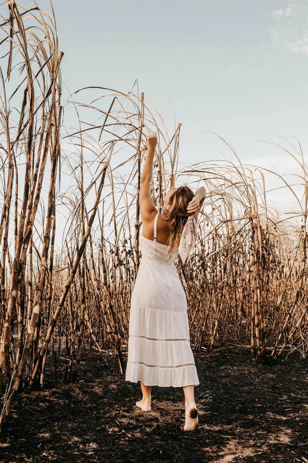 Best Ballet Schools in Chesterfield, MO: A Parent and Dancer's Guide to Choosing the Right Studio