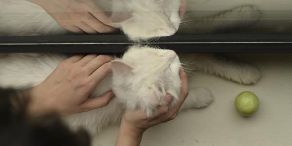 Find Your Rhythm in Marlborough City: Top Square Dance Training Hubs