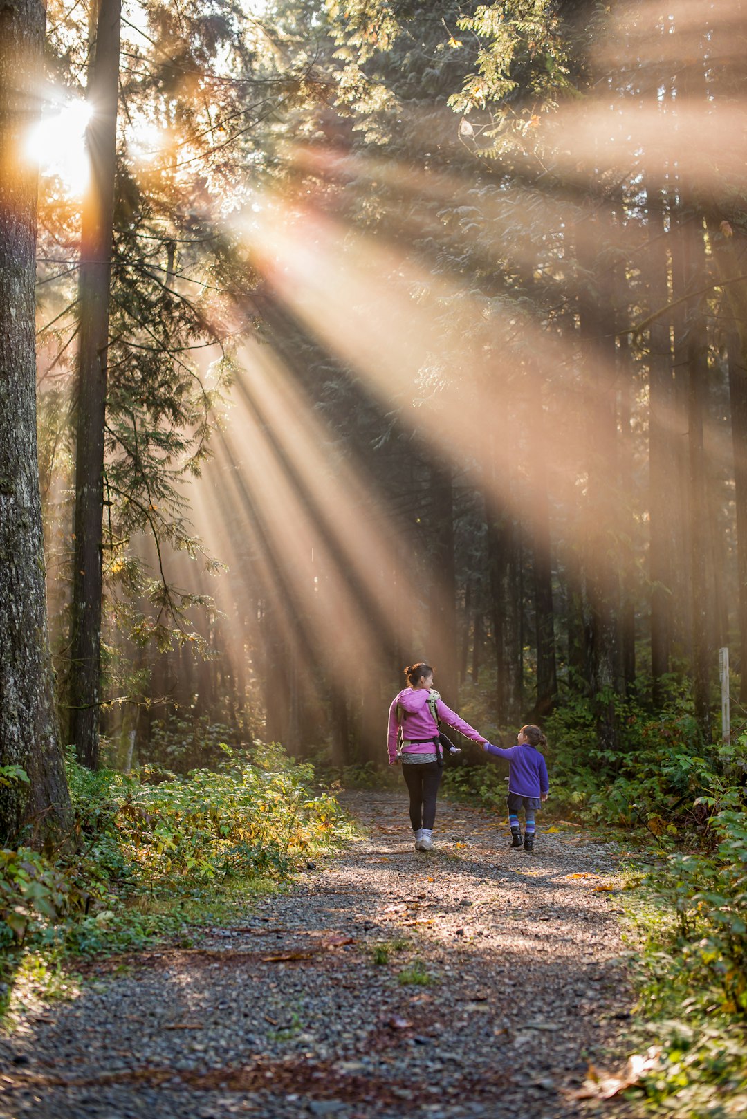 Where to Study Ballet Near Mount Carbon, West Virginia: A Local Guide