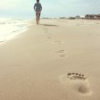 Elevate Your Ballet Skills: A Comprehensive List of Dance Training Centers in Erhard City, Minnesota