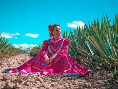 Mapping the Movement: Contemporary Dance Studios in Christmas, Florida