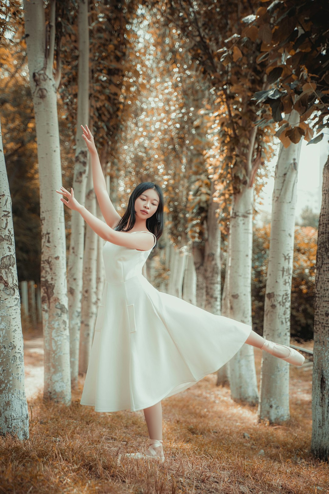 Ballet Training in Colorado's Dakota Ridge Area: A Complete Guide for Every Level