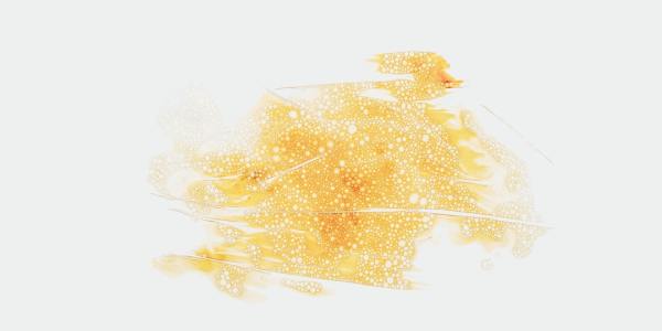 Beyond the Hard Shoe: Exploring the Grace and Flow of Irish Soft Shoe Dances