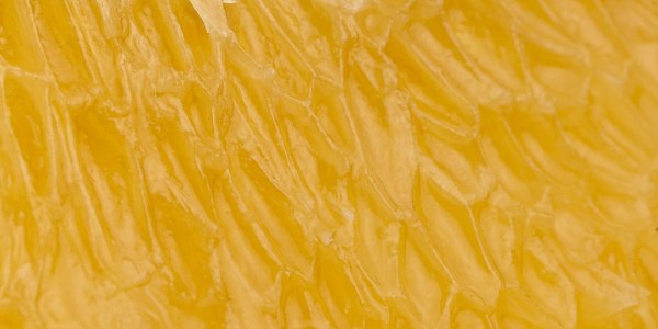 The Unspoken Language: How Lyrical Dance Translates Emotion into Movement