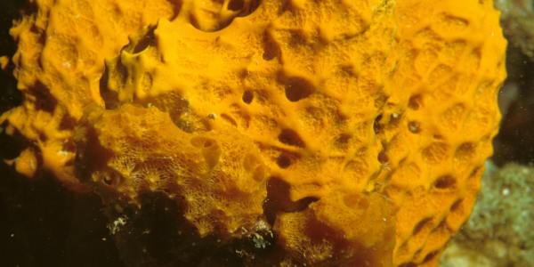 Elevate Your Art: A Look at Ballet Institutions in Coolidge City