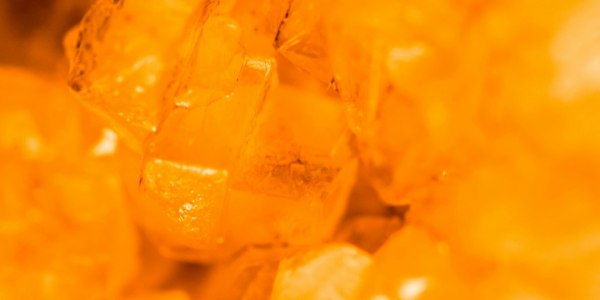 From Milford to the Dance Floor: Your Guide to Latin Dance Training