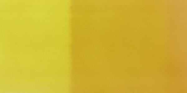 From Intermediate to Zumba Pro: 3 Game-Changing Moves to Master Now